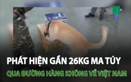 phat-hien-gan-26-kg-ma-tuy-qua-duong-hang-khong-viet-nam