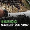 18-nguoi-ngo-doc-do-an-phai-loai-hat-chua-chat-doc