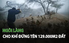 ngoi-lang-cho-khi-dung-ten-129000-m2-dat