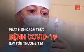 phat-hien-cach-thuc-benh-covid-19-gay-ton-thuong-tim