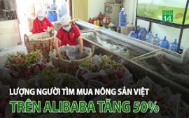 luong-nguoi-tim-mua-nong-san-viet-tren-alibaba-tang-50