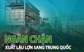 lap-chuyen-an-ngan-chan-xuat-lau-lon-sang-trung-quoc