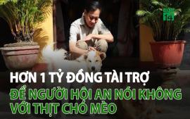 hon-1-ty-dong-tai-tro-de-nguoi-hoi-an-noi-khong-voi-thit-cho-meo